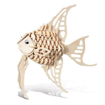 Angel Fish 9eight5