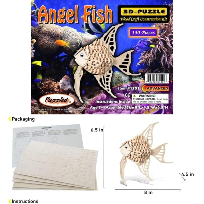 Angel Fish 9eight5