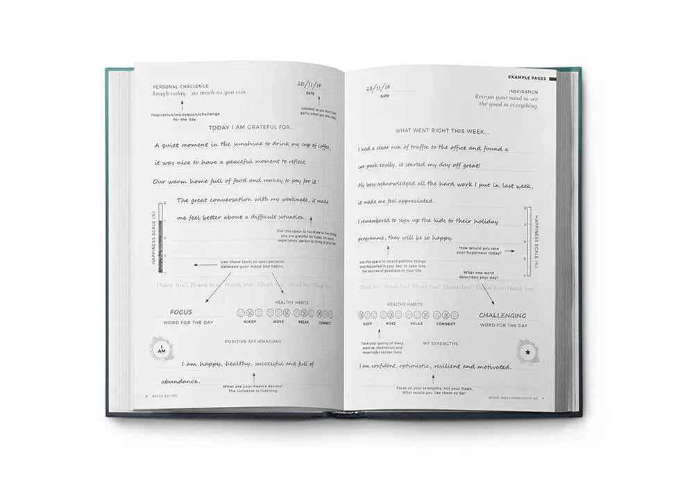 Resilient Gratitude Journal by Awesome Inc NZ, a hardcover gratitude journal with positive reflection prompts for ages 17+.