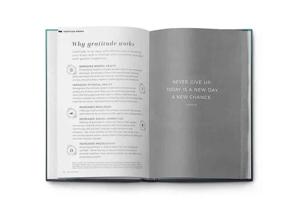Resilient Gratitude Journal by Awesome Inc NZ with a textured cover, designed for positive reflections and personal growth.