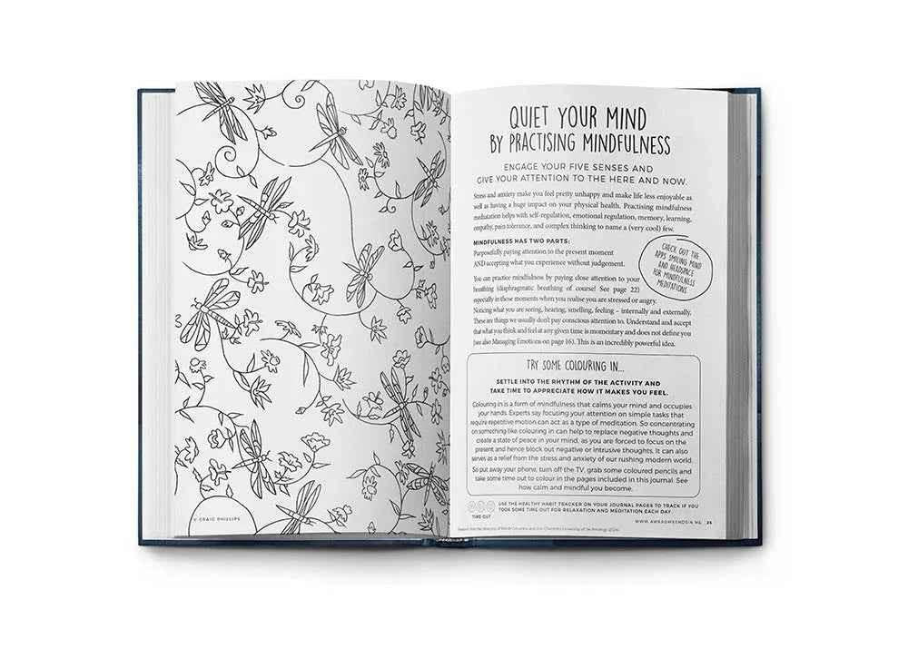 Resilient ME Gratitude Journal for Teens by Awesome Inc NZ, with a colorful cover design suitable for ages 12-18.