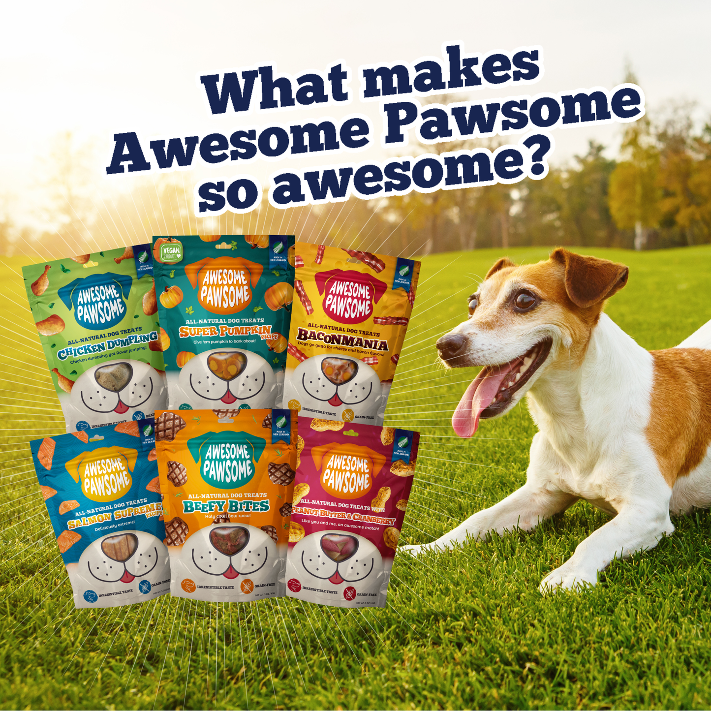 Awesome Pawsome Grain-Free Dog Treats