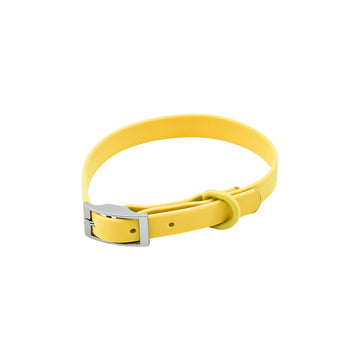 PVC Dog Collar & Leash Options – ColourPop Walks