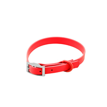 PVC Dog Collar & Leash Options – ColourPop Walks