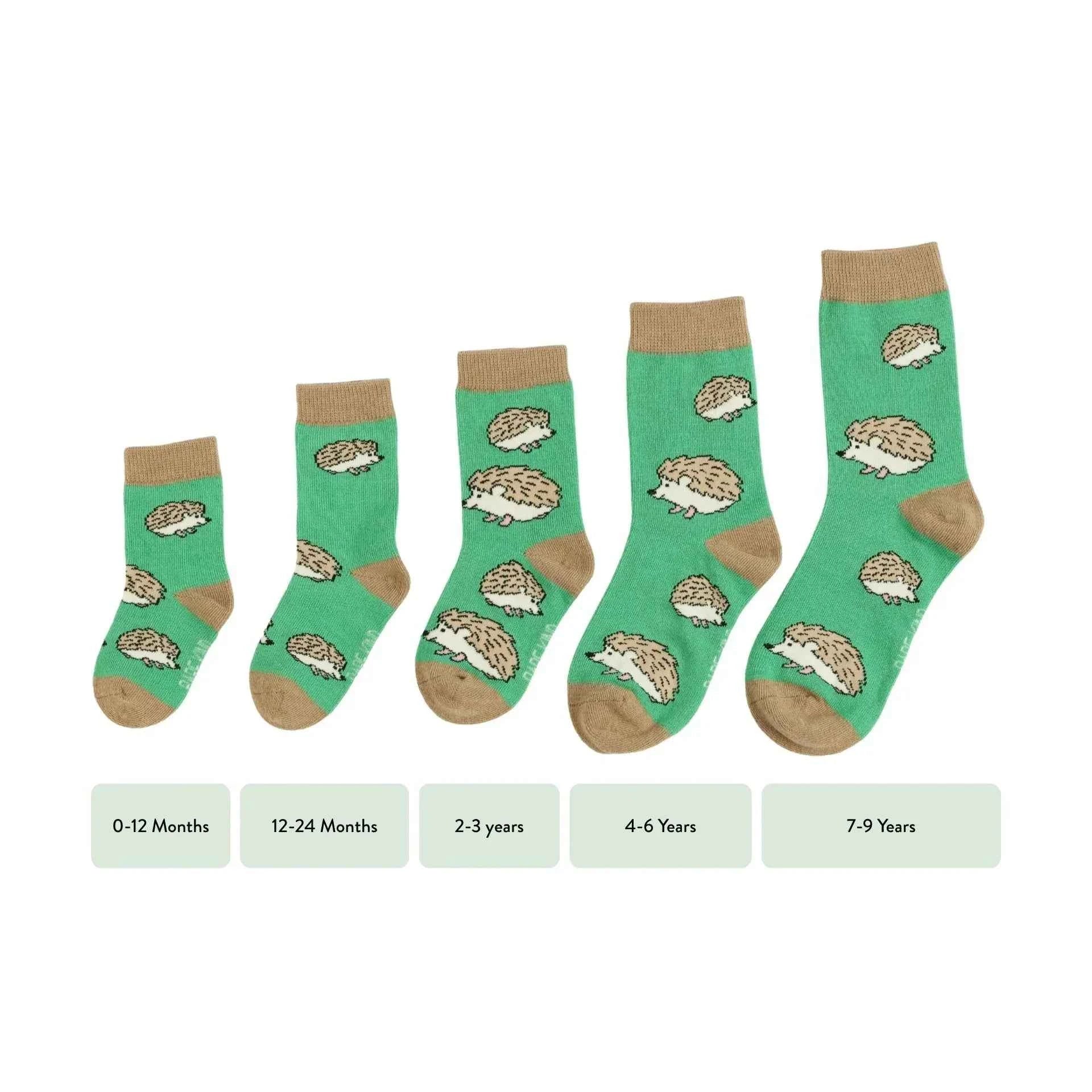 Barekind NZ bamboo socks for kids featuring hedgehog design, suitable for ages 0-12 months, soft and eco-friendly.