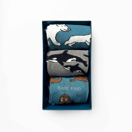 Set of three Barekind NZ Arctic Animals bamboo socks in a gift box, featuring cozy, patterned sock designs for adults.