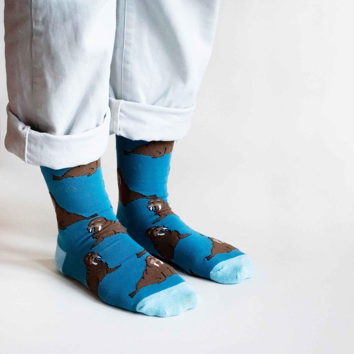 Set of three Barekind NZ bamboo socks featuring Arctic animals design in a gift box, perfect for adults size 4-7.