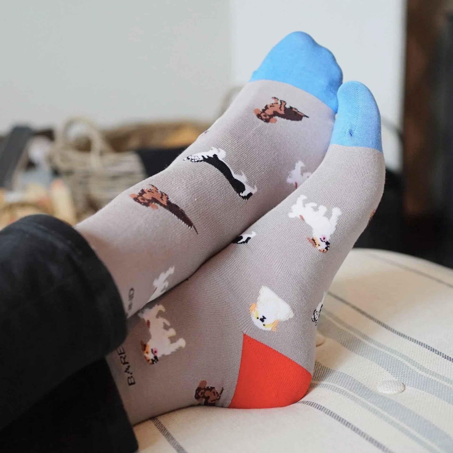 Barekind NZ bamboo socks for adults featuring a "Save the Grey Dog" design, made from sustainable bamboo fabric.