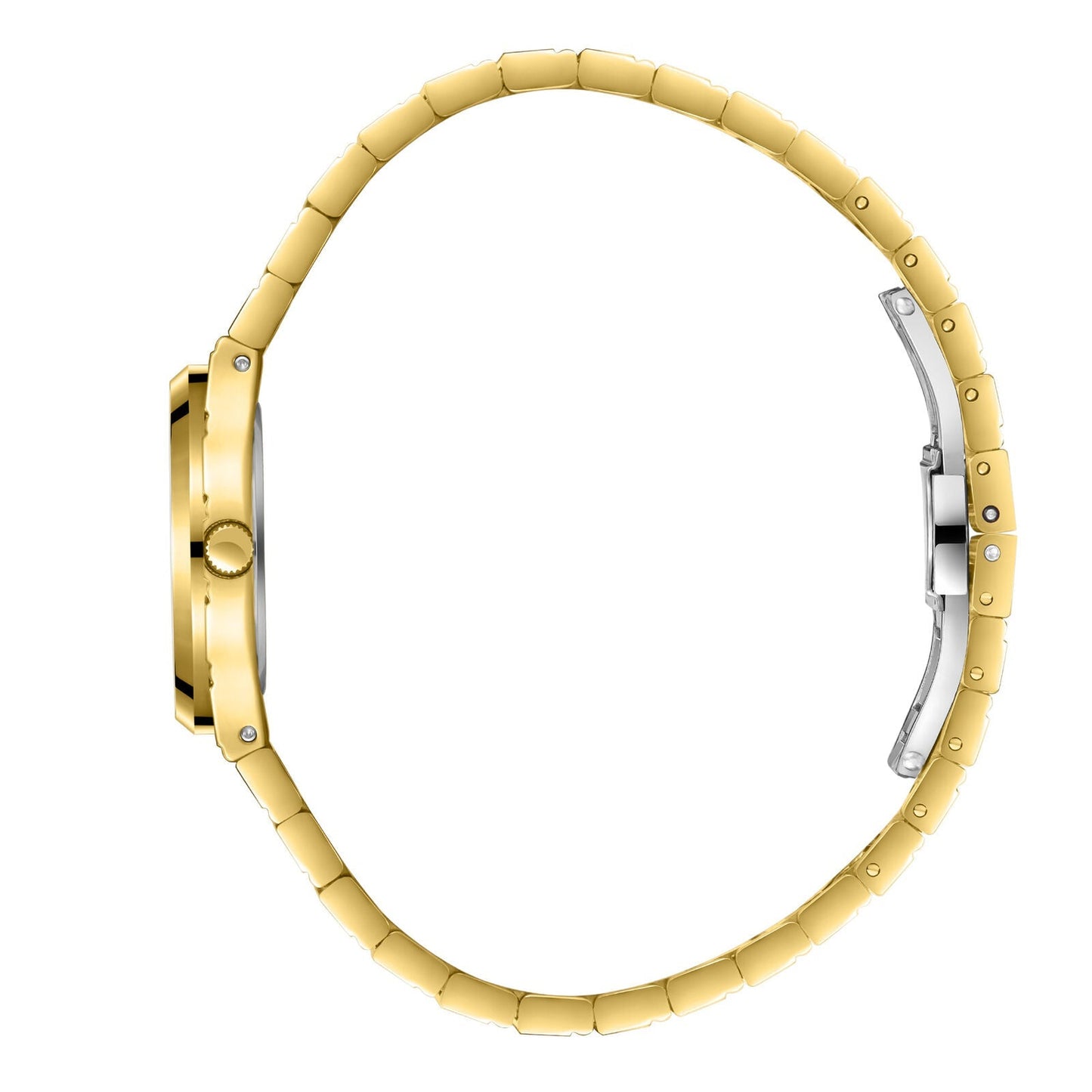 Beverly Hills Polo Club Special All Gold Watch - BP3818X.110 Kiwi Watches