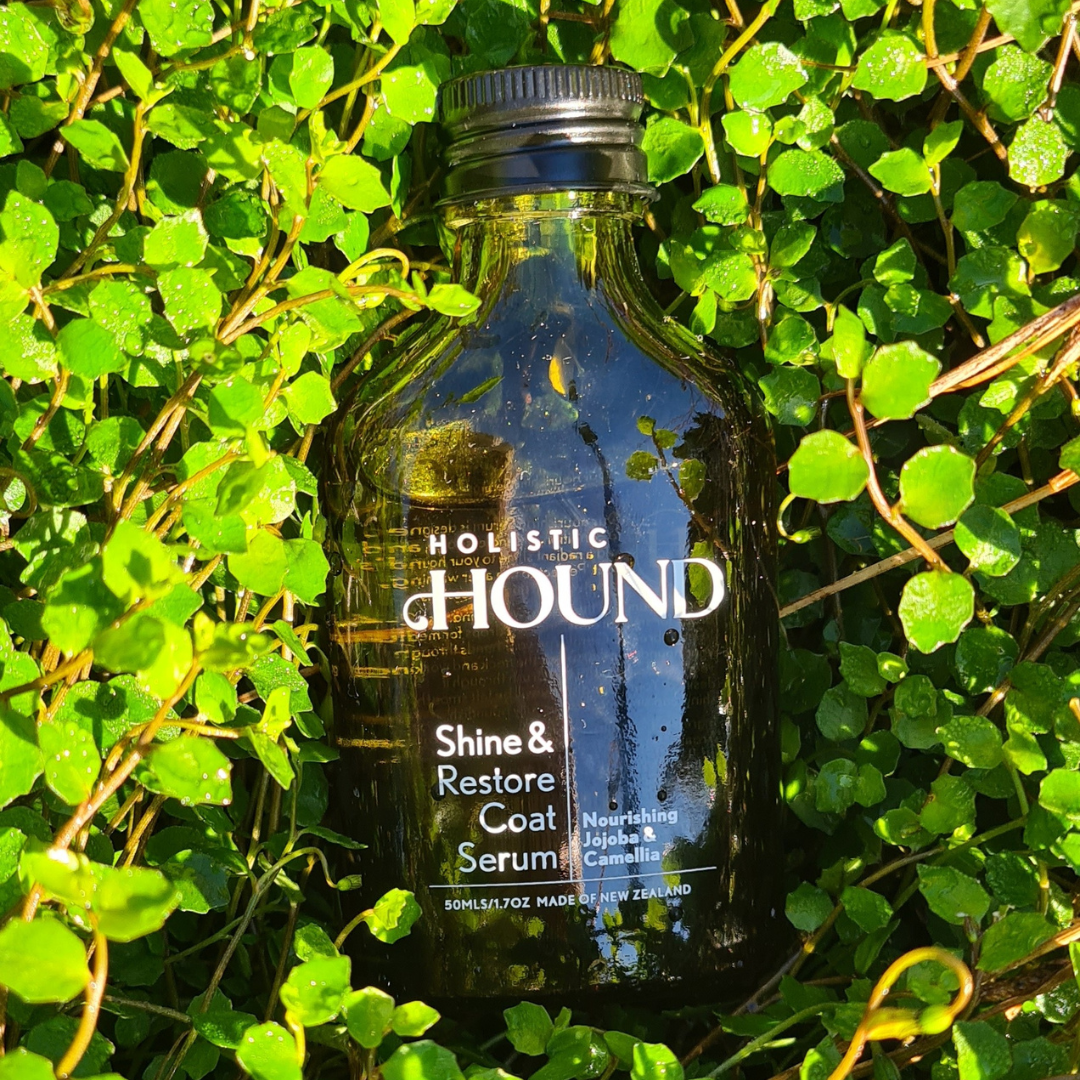 Holistic Hound - Shine & Restore Coat Serum 50mls Animal Addiction Limited
