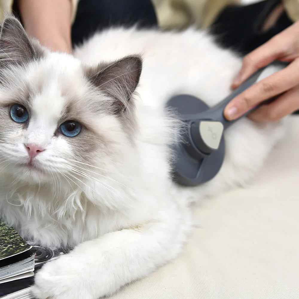 Self-cleaning slicker brush for pets by Cool Kitty Cat Litter, featuring fine metal bristles for gentle fur grooming and shedding.