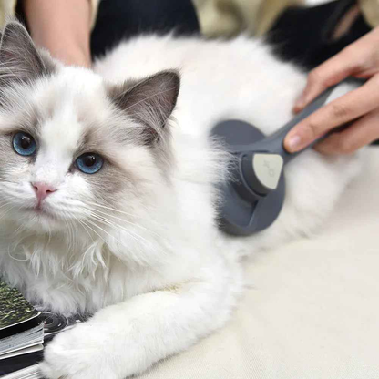 Self-cleaning slicker brush for pets by Cool Kitty Cat Litter, featuring fine metal bristles for gentle fur grooming and shedding.
