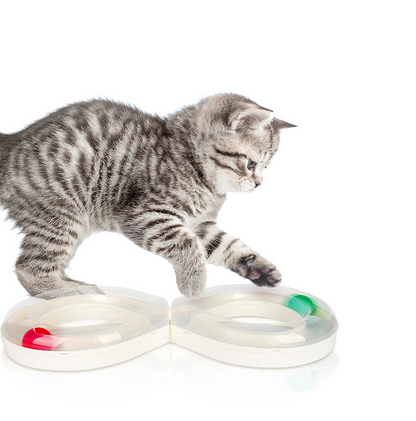 Infinity Ball Track for Cats dealonline.co.nz