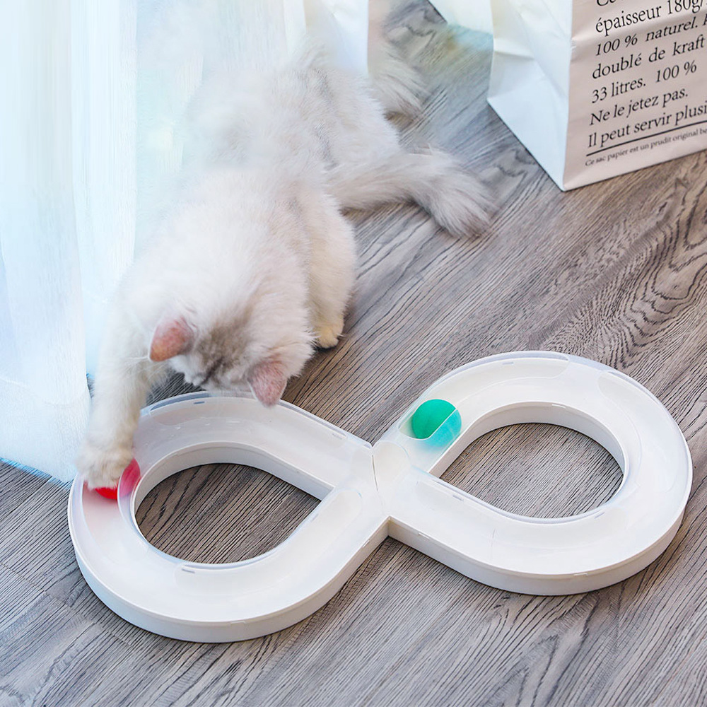 Infinity Ball Track for Cats dealonline.co.nz
