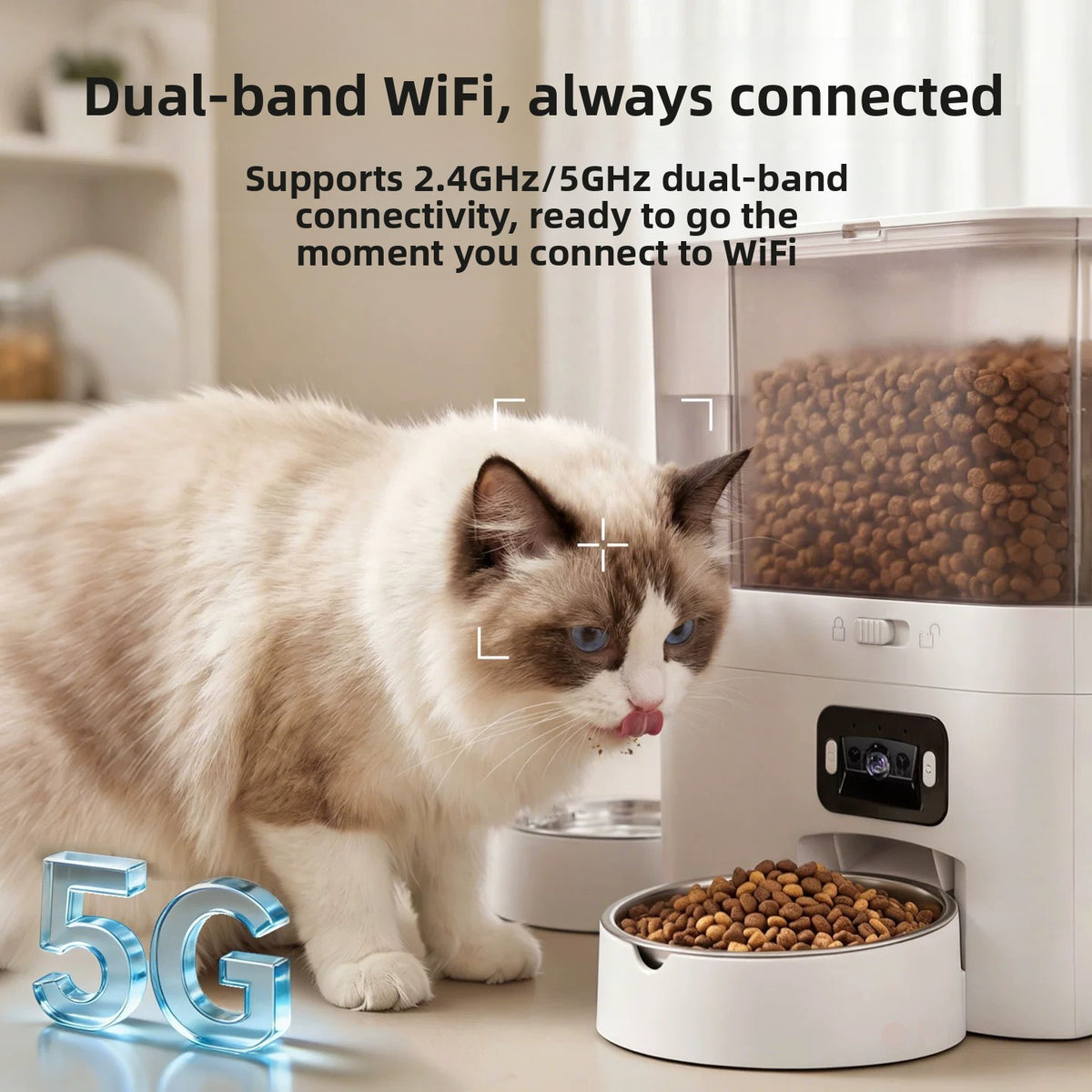 PawTime Duo Automatic Pet Feeder & Water Station