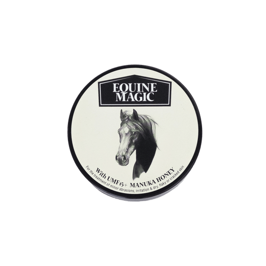 Equine Magic