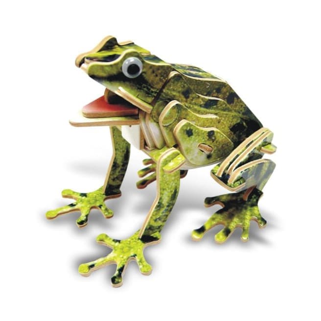 Frog (illuminated) 9eight5