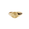 Stainless Steel Sunburst Signet Ring - Gold