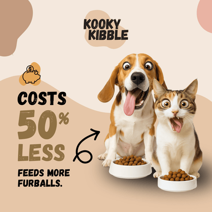 Smart Hooman Trial Bundle - Cat Food (200g)