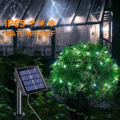 LED Solar Fairy String Lights (7m/12m/22m/32m) Habicare