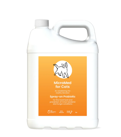 MicroMed for Cats Acute Care in 250ml bottle, immediate care solution for feline health, by MicroMed.