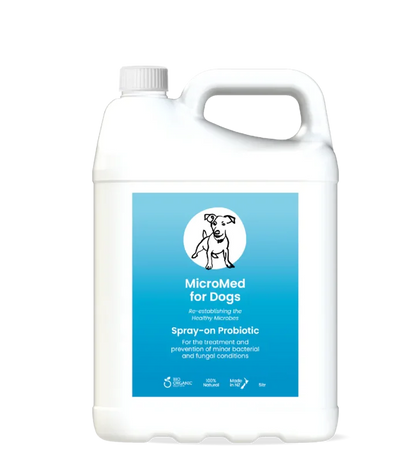 MicroMed for Dogs Acute Care Immediate Care bottle, 250ml, in a clinical setting with medical supplies and packaging.