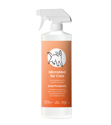 MicroMed for Cats Everyday Care bottle, 500ml, for ongoing feline health and wellness.