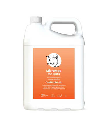 MicroMed for Cats Everyday Care bottle, 500ml, ongoing health supplement for feline wellness.