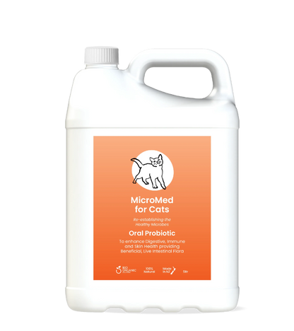 MicroMed for Cats Everyday Care bottle, 500ml, ongoing health supplement for feline wellness.