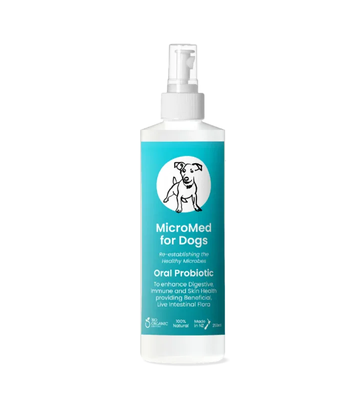 MicroMed for Dogs Care ongoing health and wellness solution in a 500ml bottle, supporting daily dog health and vitality.