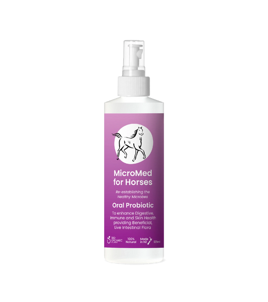 MicroMed for Horses Care ongoing care solution in a 500ml bottle, designed to support equine health and well-being.