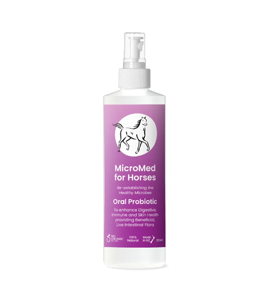 MicroMed for Horses Care Ongoing Care solution bottle, 500ml, designed for daily equine health maintenance and optimal horse well-being.