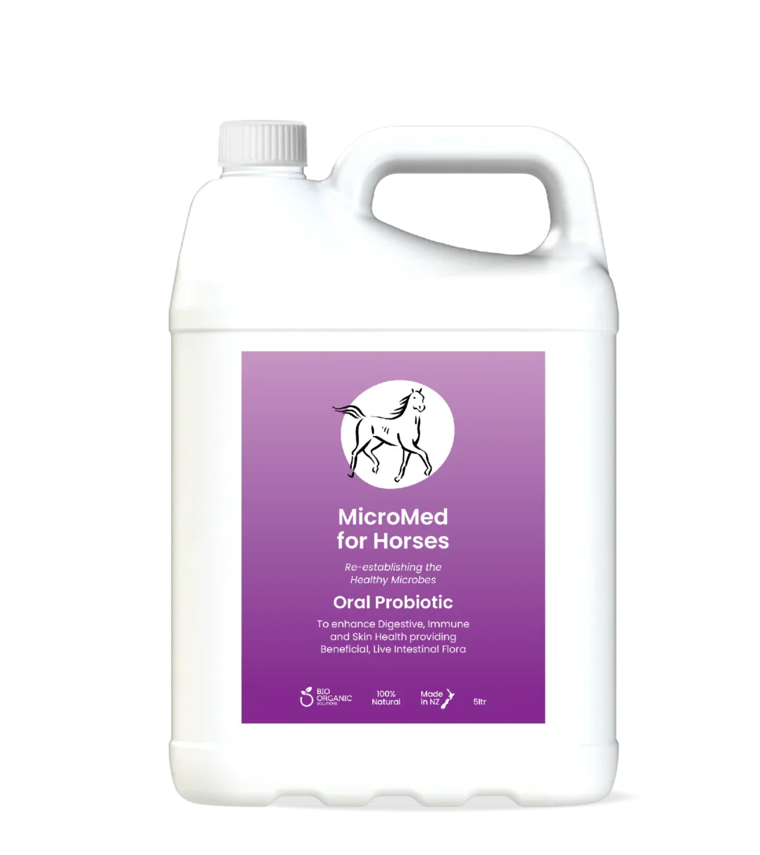 MicroMed for Horses Care 500ml bottle showing the ongoing care solution for maintaining optimal equine health.