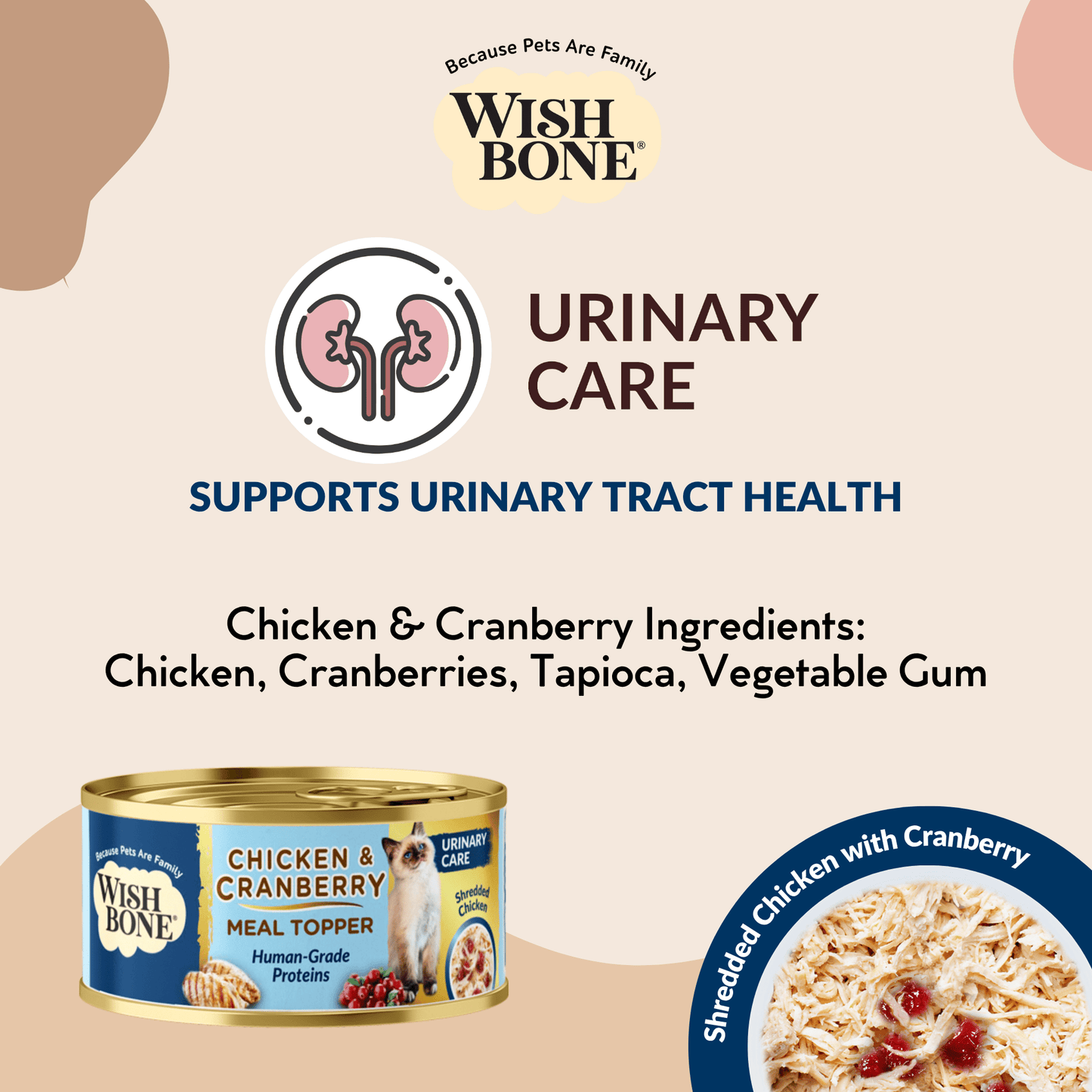 New Zealand Cat Kibbles and Cat Meal Topper Bundle Deals