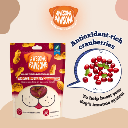 New Zealand Dog Kibbles and Dog Treats Bundle Deals