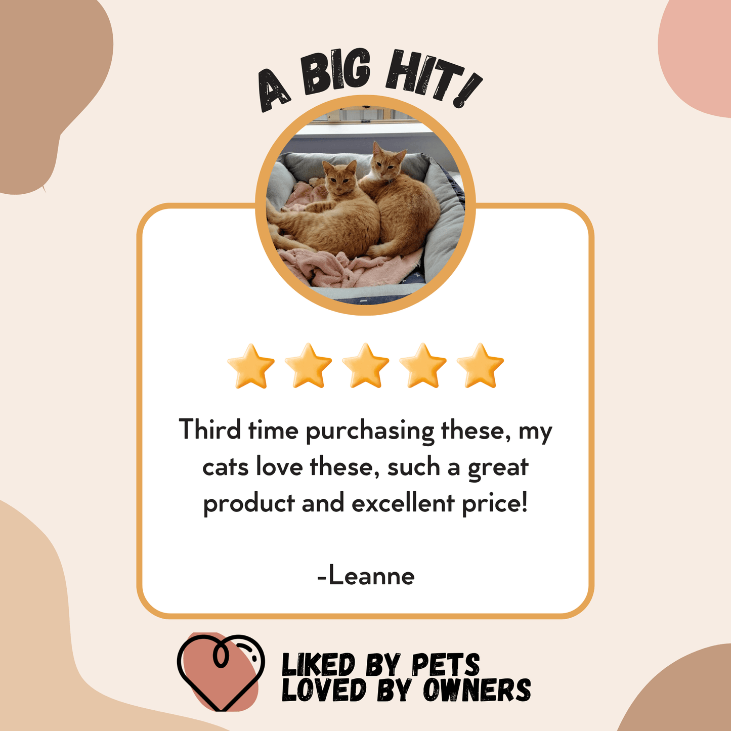 New Zealand Grain-Free Cat Food for All Life Stages (3/9 KG)