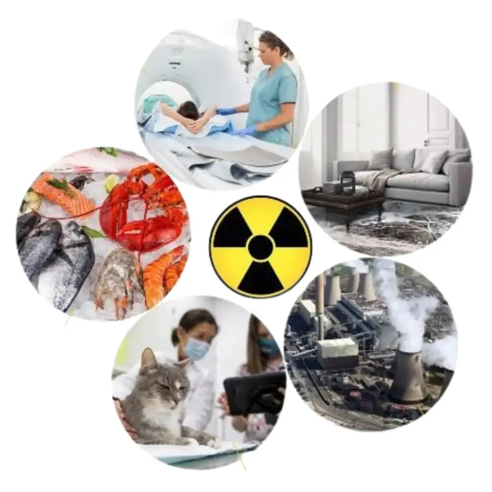 Nuclear Radiation Detector Geiger Habicare