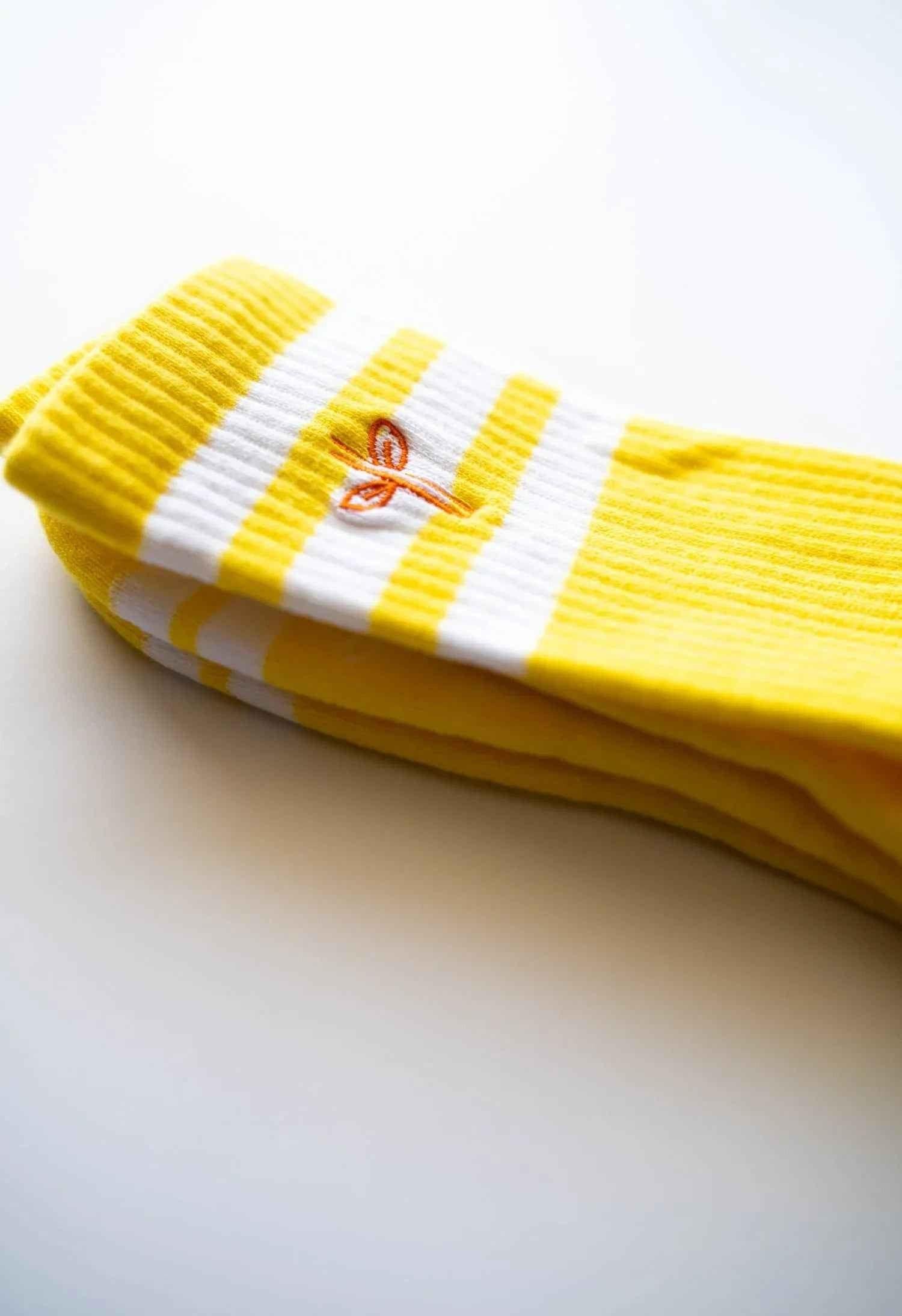 Organic Cotton Lite Crew Sock - Sunrise Session