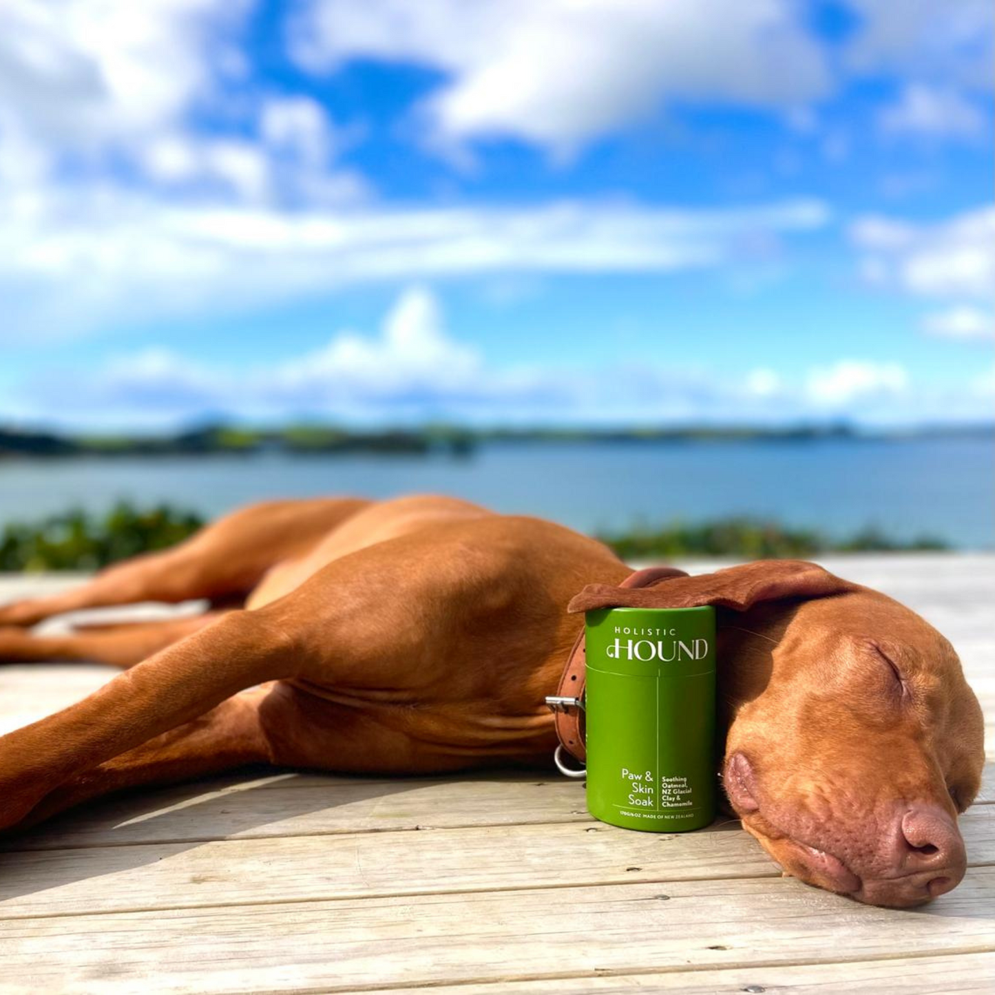 Holistic Hound - Paw & Skin Soak 170g Animal Addiction Limited