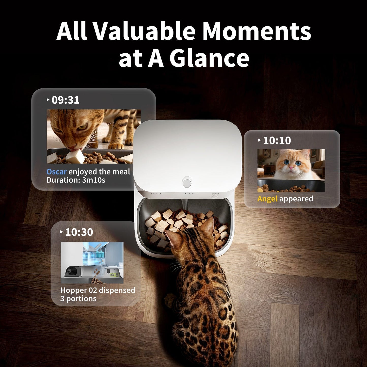 PETKIT YumShare Dual-hopper 2 Automatic Feeder with Camera