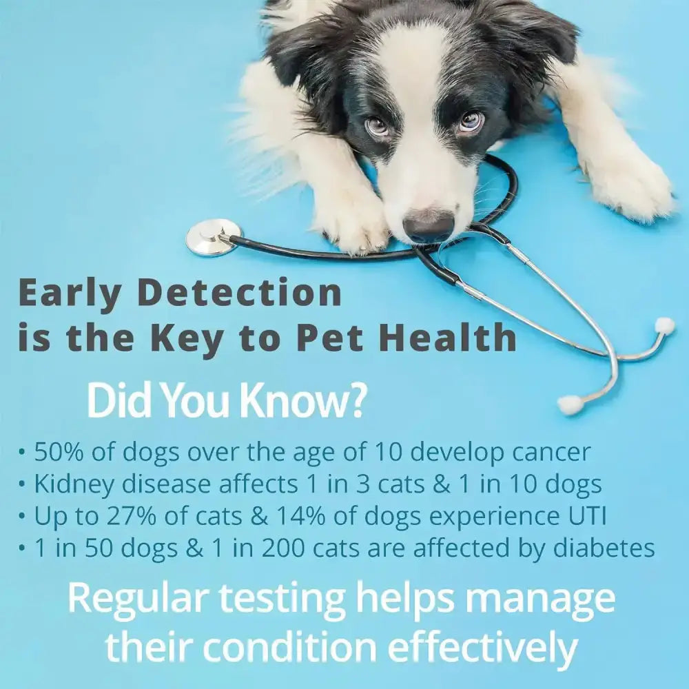 Pet Urine Testing Strips (x 100) Habicare