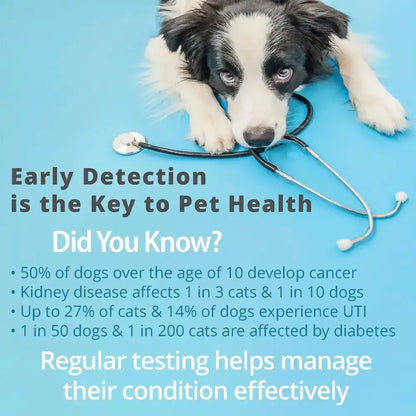 Pet Urine Testing Strips (x 100) Habicare