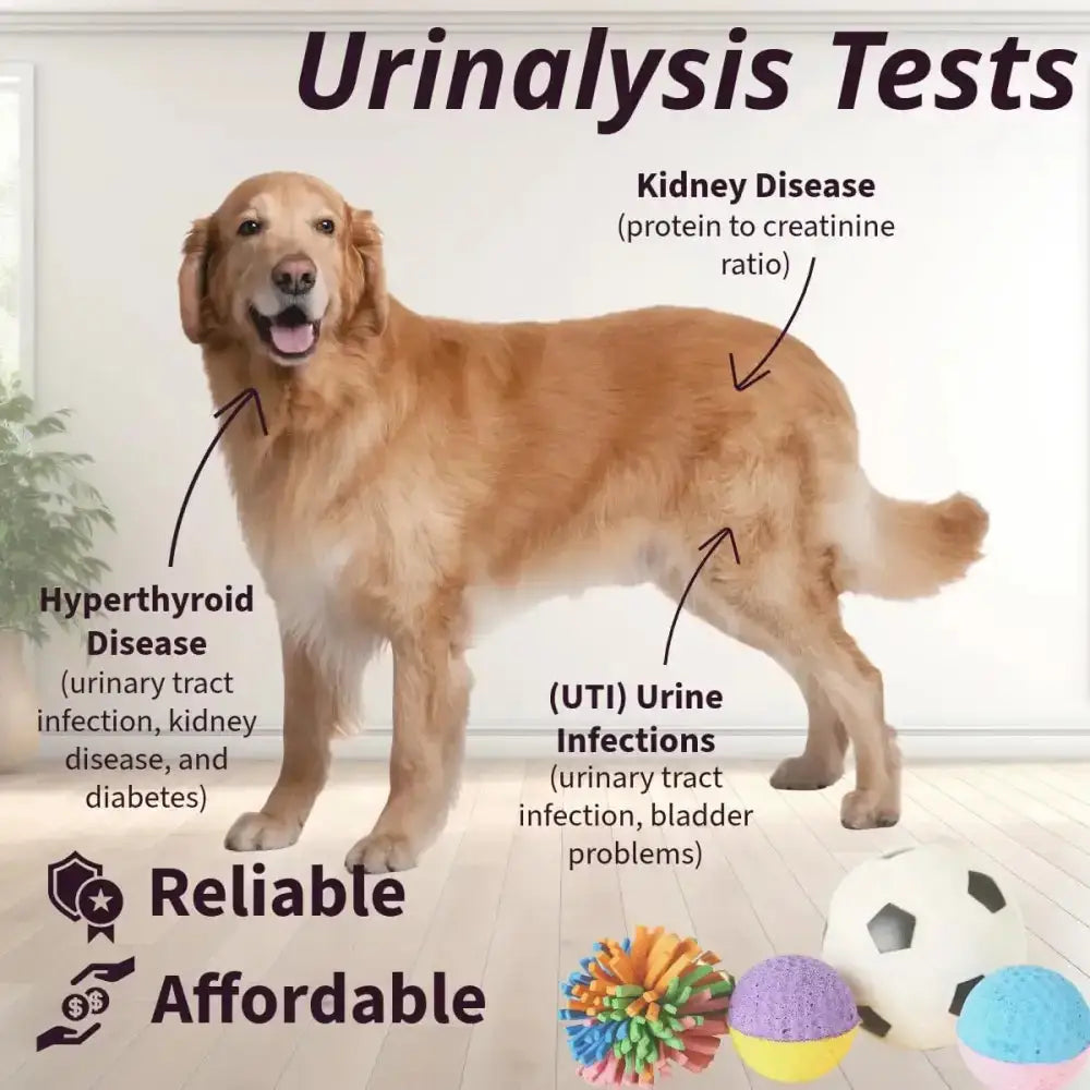 Pet Urine Testing Strips (x 100) Habicare