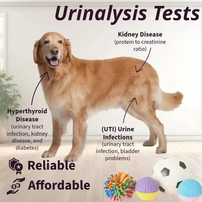 Pet Urine Testing Strips (x 100) Habicare