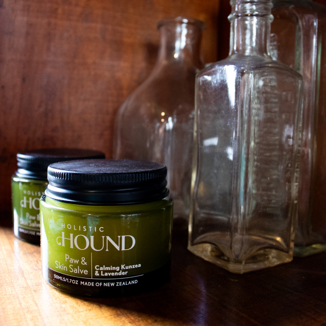 Holistic Hound - Paw & Skin Salve 50g Animal Addiction Limited
