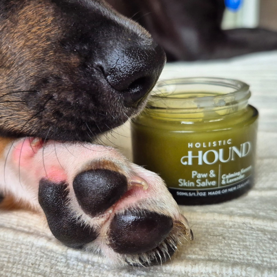 Holistic Hound - Paw & Skin Salve 50g Animal Addiction Limited