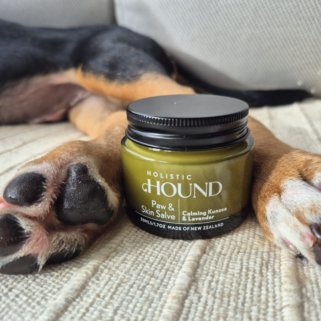 Holistic Hound - Paw & Skin Salve 50g Animal Addiction Limited