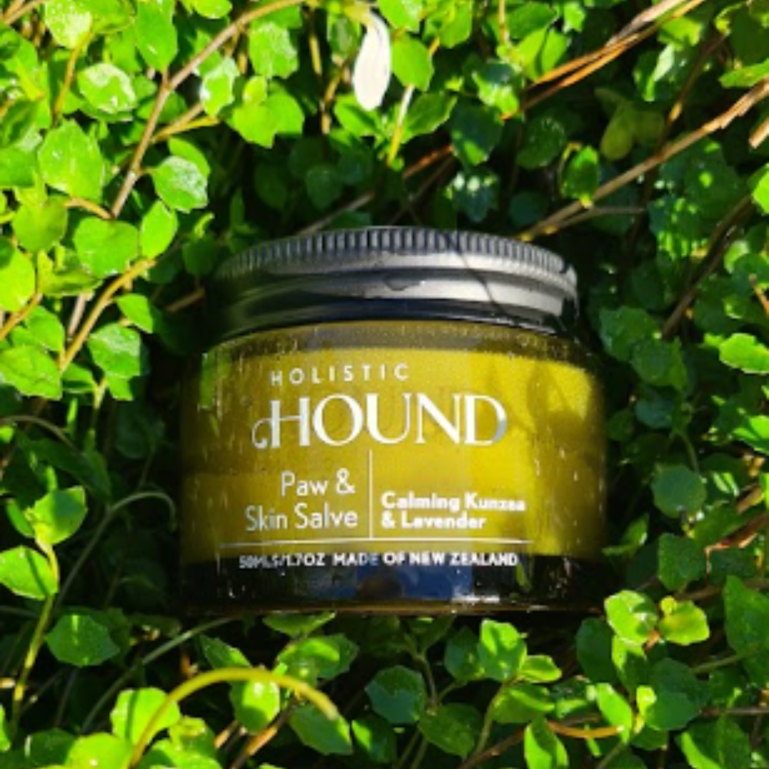 Holistic Hound - Paw & Skin Salve 50g Animal Addiction Limited