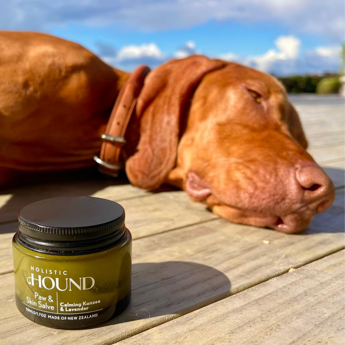 Holistic Hound - Paw & Skin Salve 50g Animal Addiction Limited