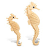 Sea Horse